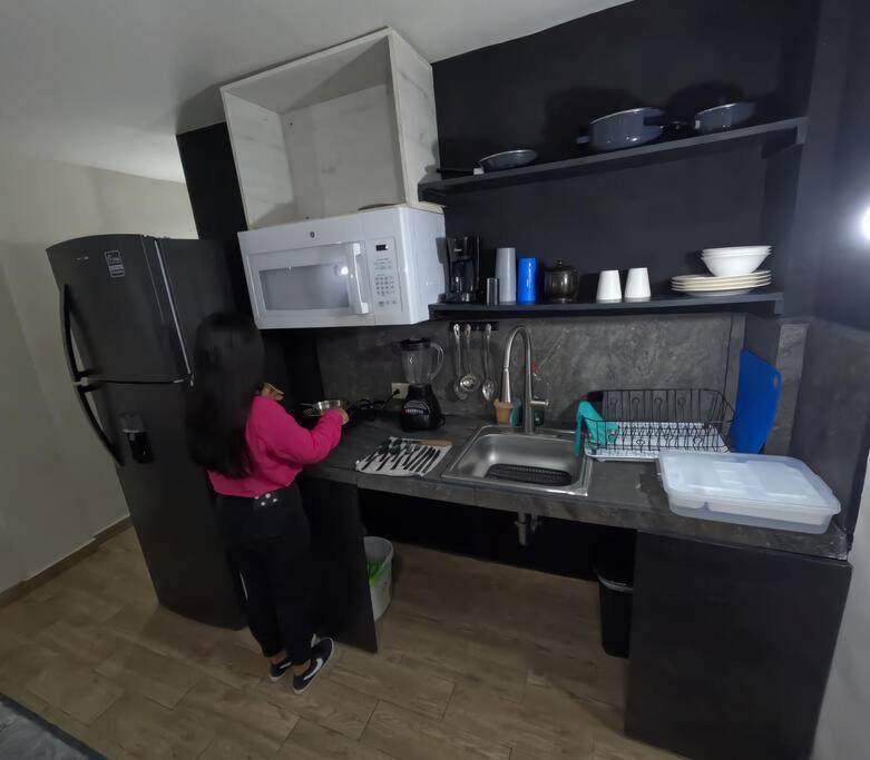 شقة Departamento Privado7, 2 Camas Matri, Parking, Cocina Equipada, Wifi 65 Mb, 2 Climas,Centrico,Tv Smart سيوداد فاليس المظهر الخارجي الصورة