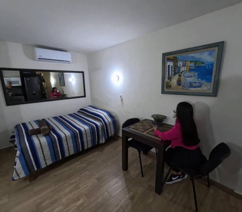 شقة Departamento Privado7, 2 Camas Matri, Parking, Cocina Equipada, Wifi 65 Mb, 2 Climas,Centrico,Tv Smart سيوداد فاليس المظهر الخارجي الصورة